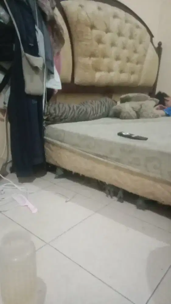 Kasur springbed bekas