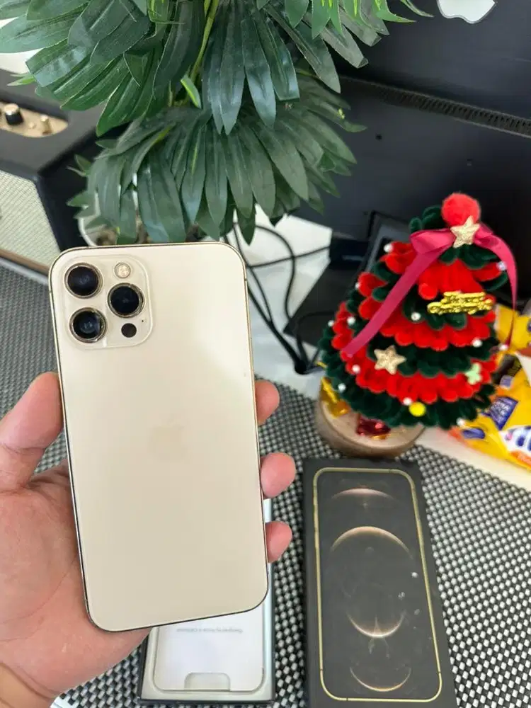 iPhone 12Promax 128GB All Operator