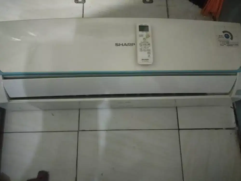 indor sharp1/2pk orinil