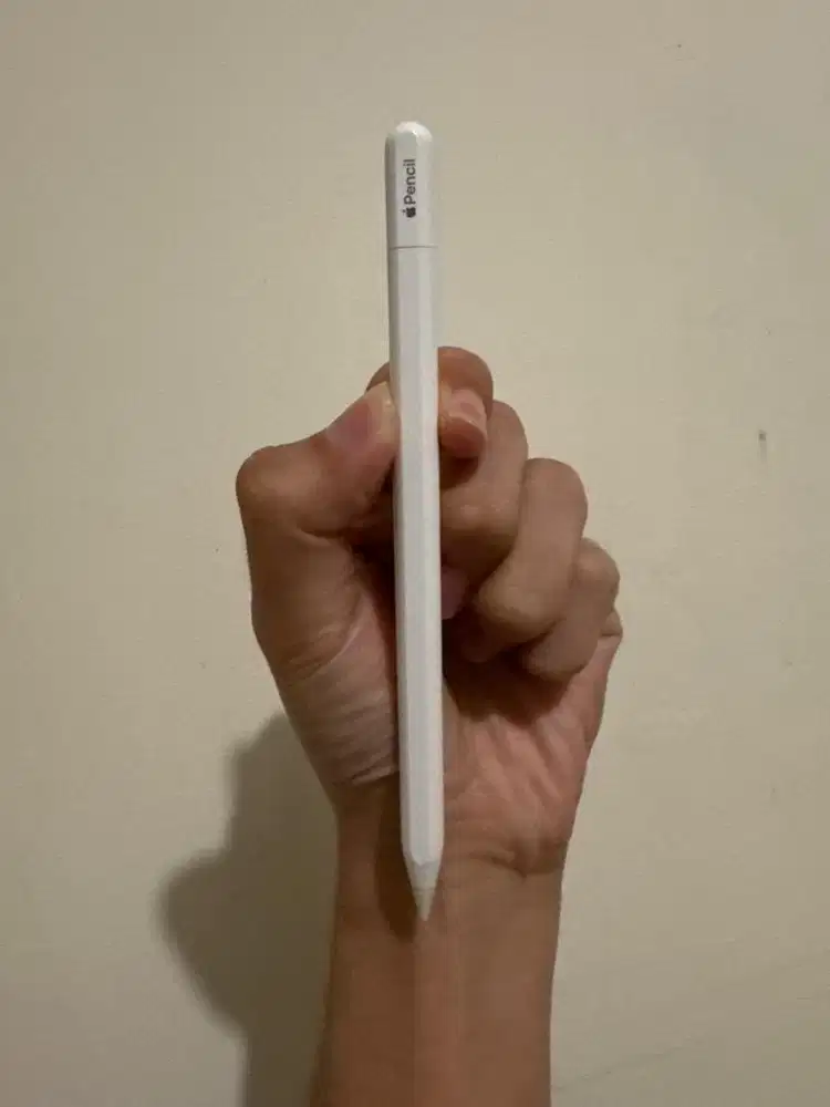 Apple pencil usb c