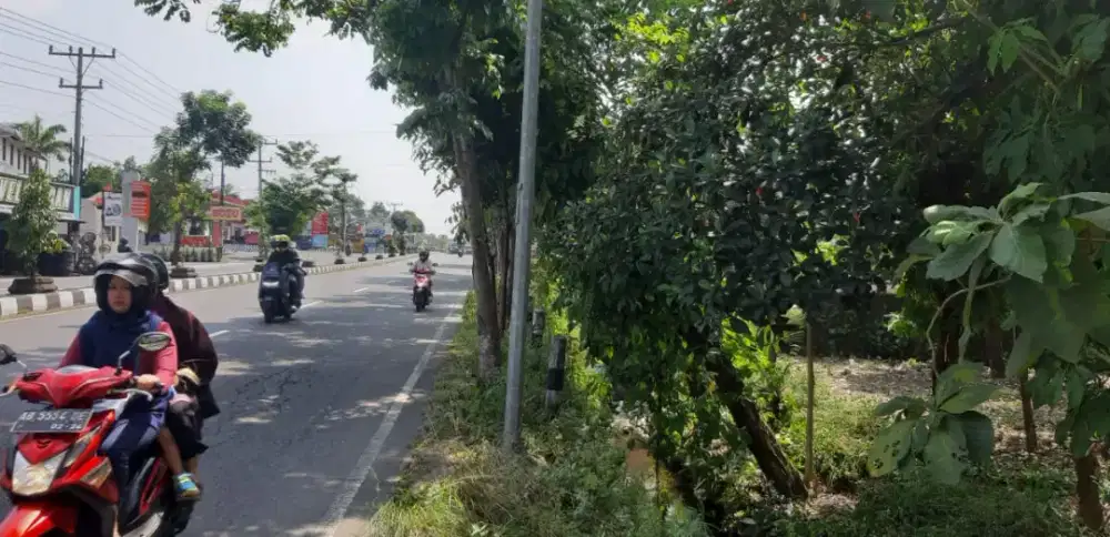 Pekarangan di Pinggir Jalan Magelang Km 15