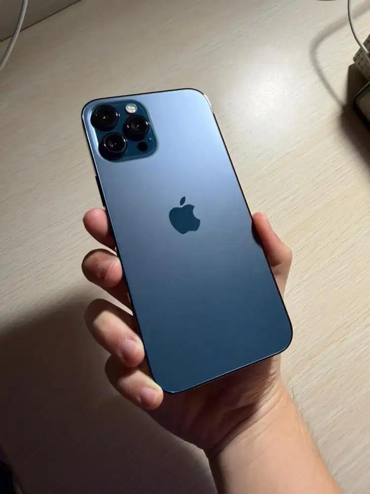 iPhone 12 Pro Max 256gb Resmi No Minus