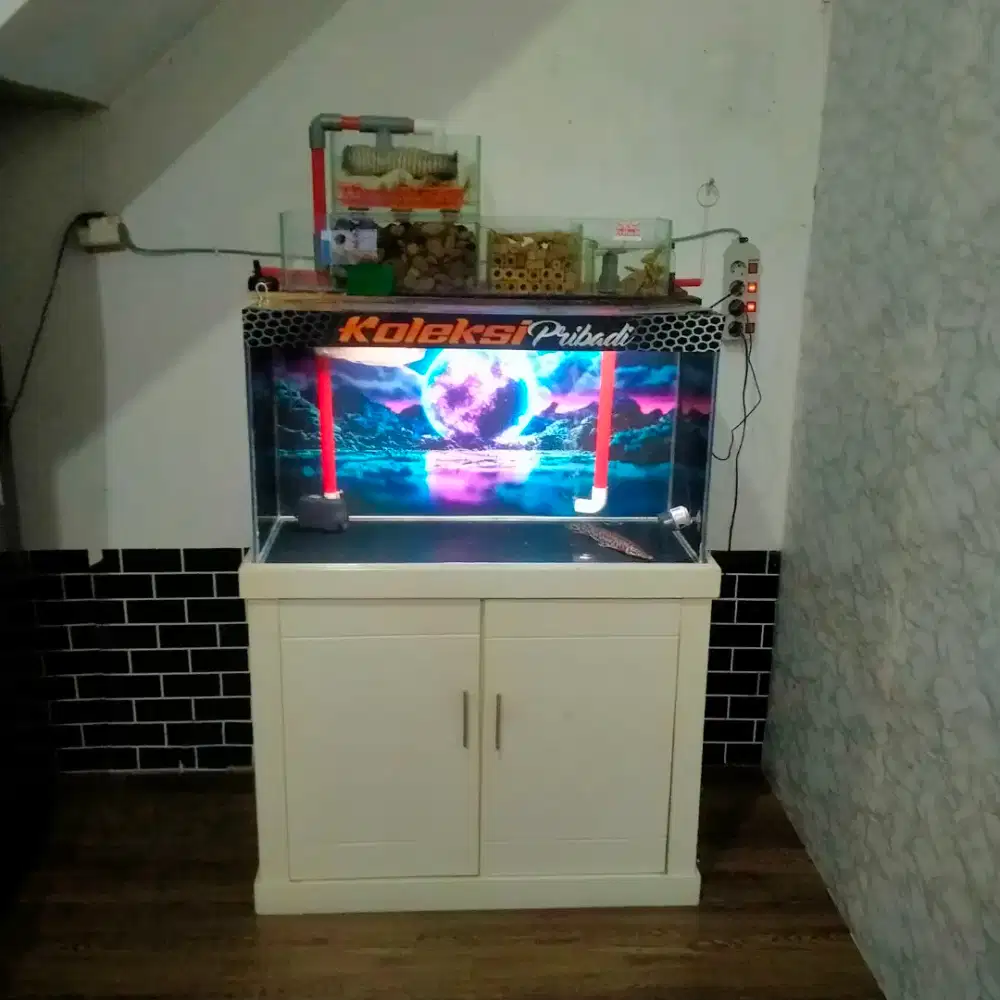 Aquarium buffet fullset
