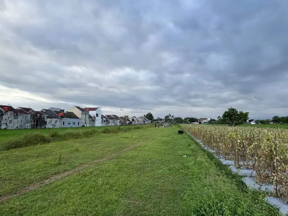 Tanah Godean 300jtan, dekat Jl Godean Dematk Ijo