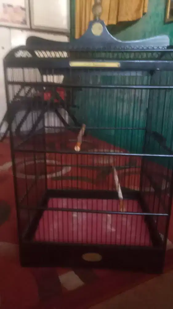 jaual kandang BNR kundisi masih bagus 80 %