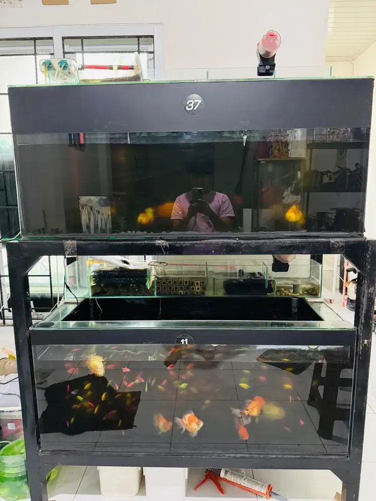 Aquarium tingkat uk 120 bekas/Second