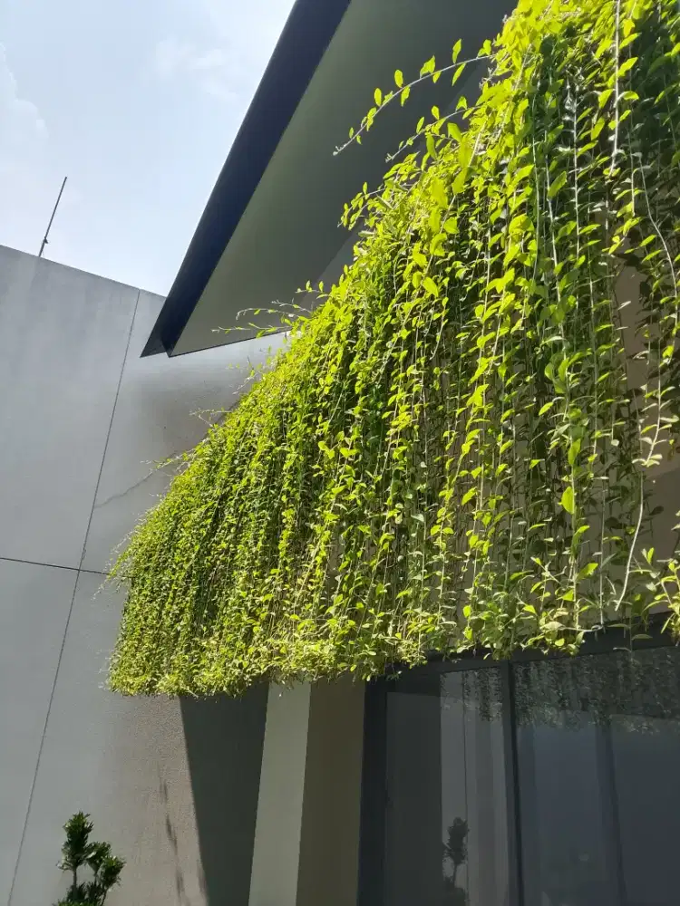 Jasa pembuatan taman+maintance taman