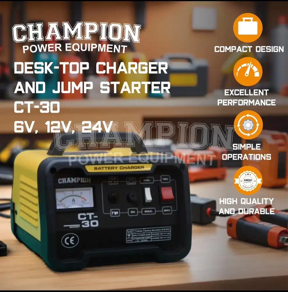 Charger Cas Aki Battery Champion 30Ampere USA Technology