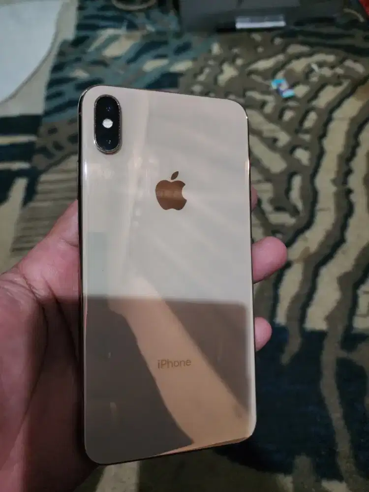 Jual XS MAX 256GB