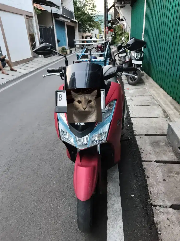 Yamaha Lexi 2019 std