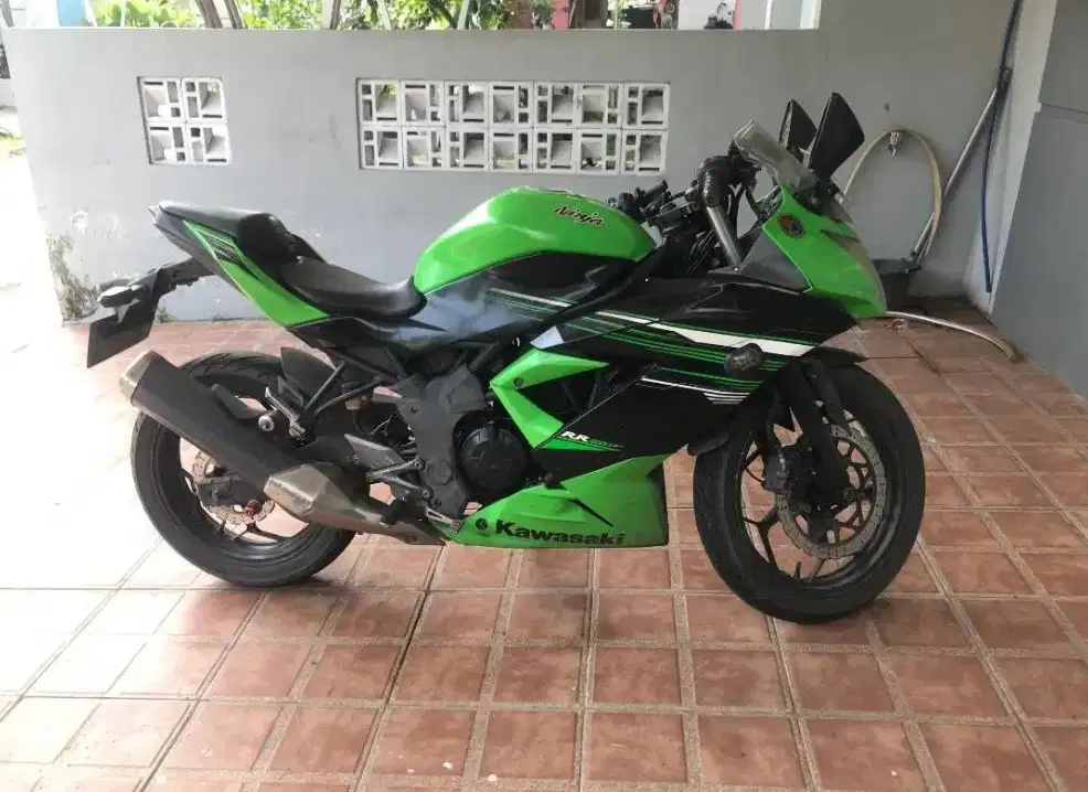 Kawasaki Ninja 250 Mono