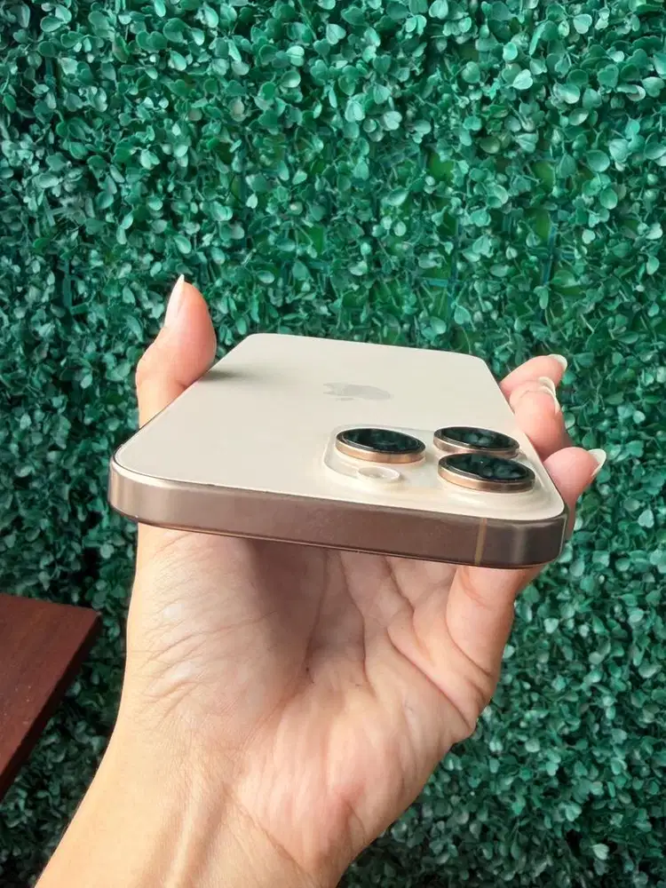 iPhone 16 Promax 256gb inter allop