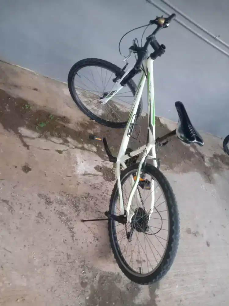 Dijual sepeda wimcycle 26'