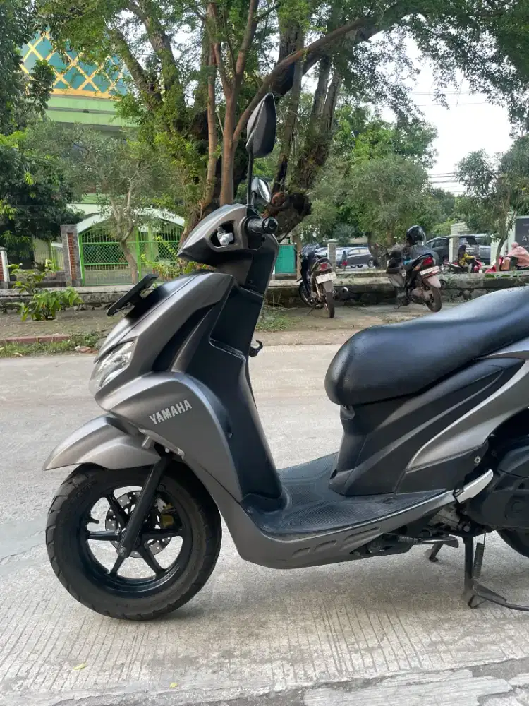 Freego S keylles 2019