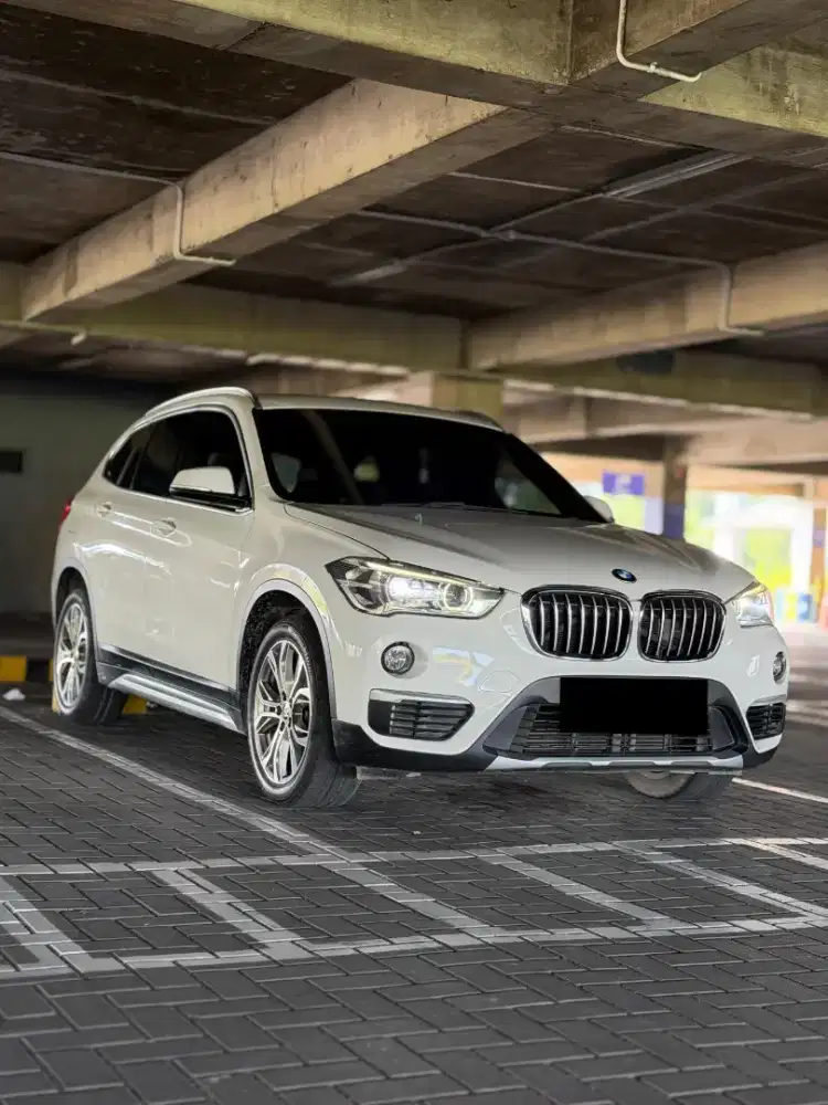 Bmw X1 Panoramic