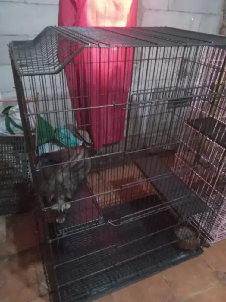 Kandang Premium Octagon Jumbo Tingkat Ukuran XXXL