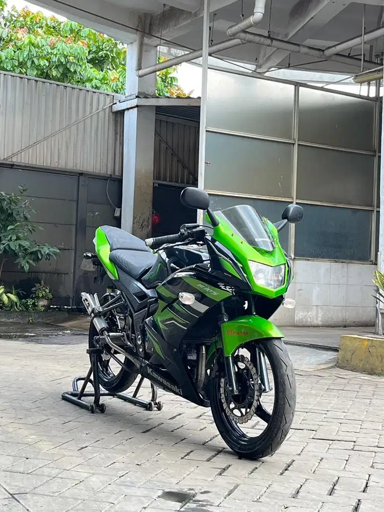 ninja rr new super kips