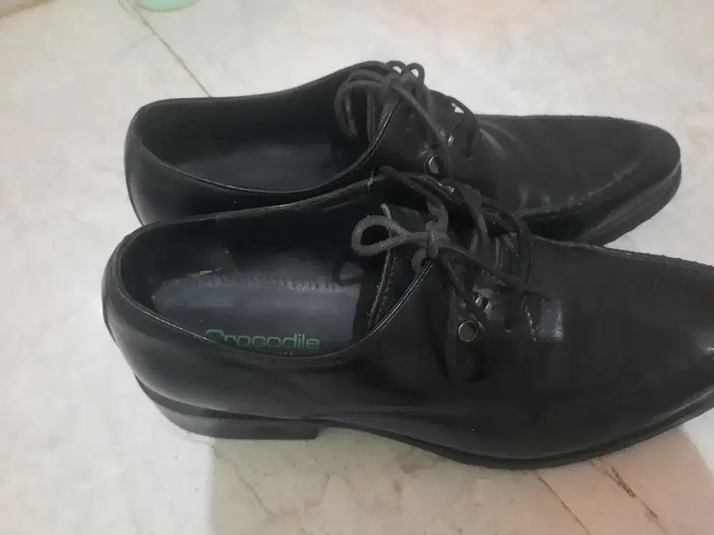 Jual sepatu crocodile