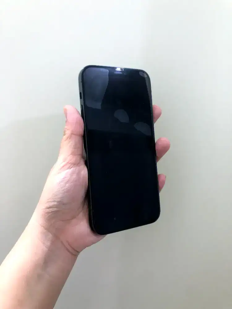 Iphone 12 Pro 128gb Inter Blue