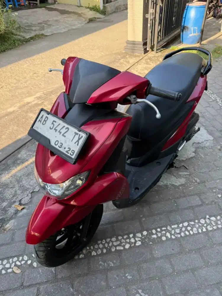 Freego THN 2019 plat AB sleman