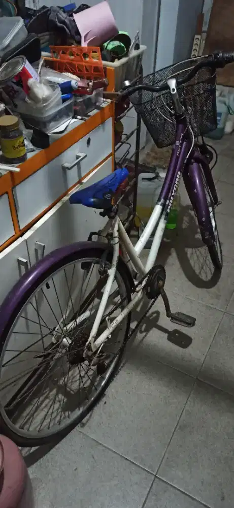 Sepeda polygon sheira