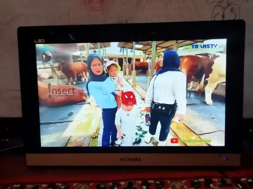 Tv LED Ayoma 24 inchi