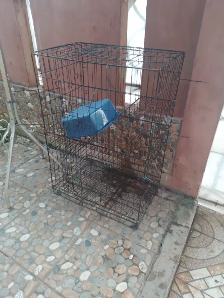Kandang Kucing 3 tingkat