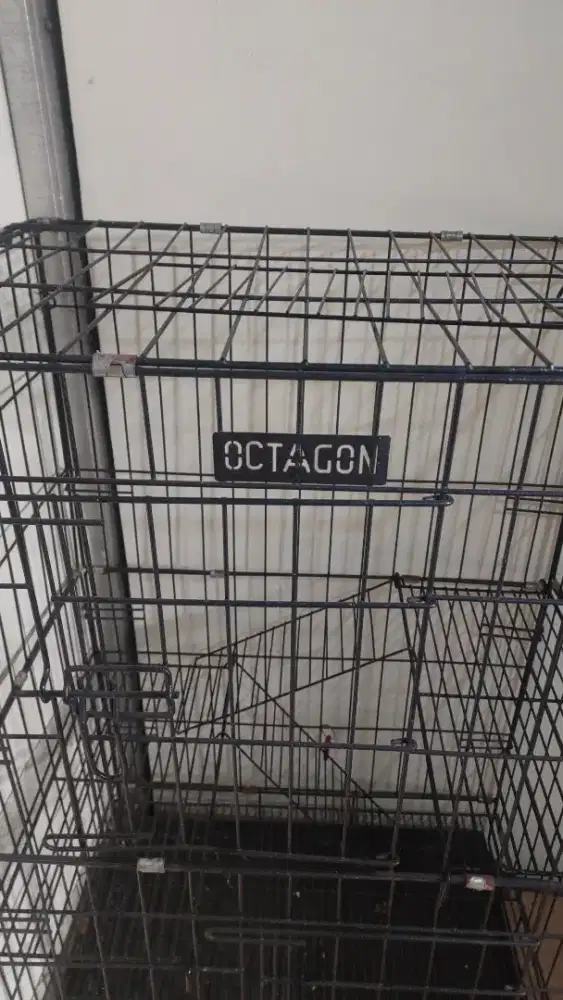 Kandang Kucing Octagon