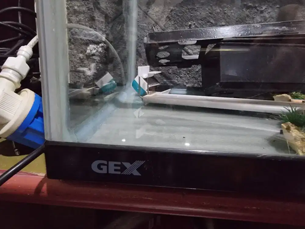 Jual Aquarium GEX 90x45x45
