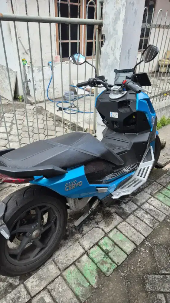 Jual Alva Cervo 2025