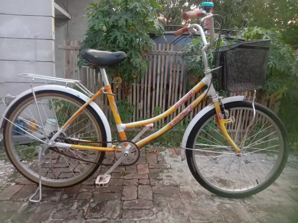 Sepeda mini evergreen ring 24 inch