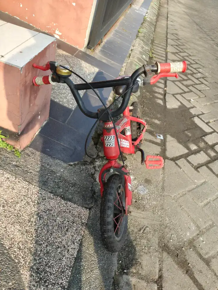 Sepeda Anak Evergreen