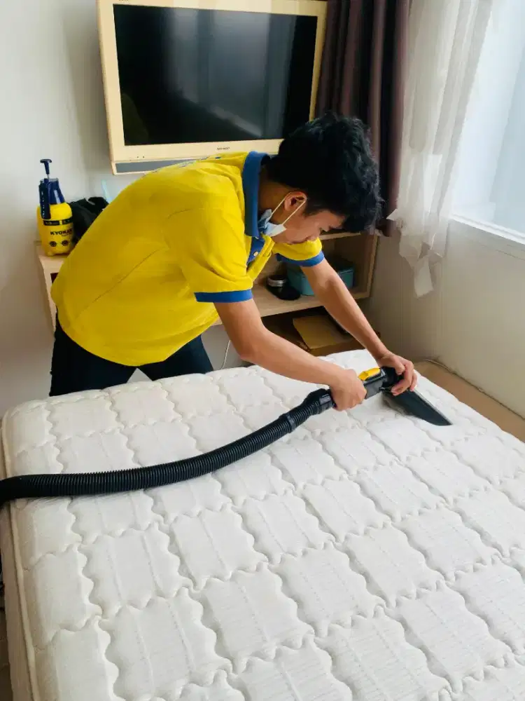 Dicari pegawai freelance harian cuci kasur