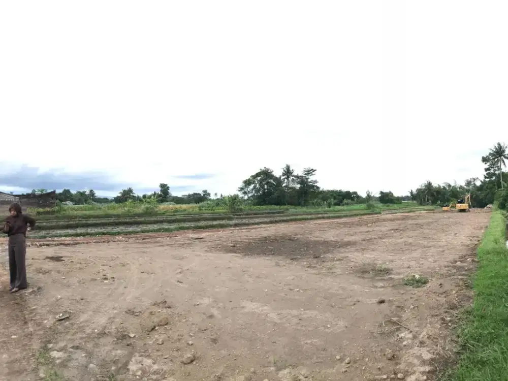 Tanah SHM Palagan Sleman 5 Menit Masjid Suciati