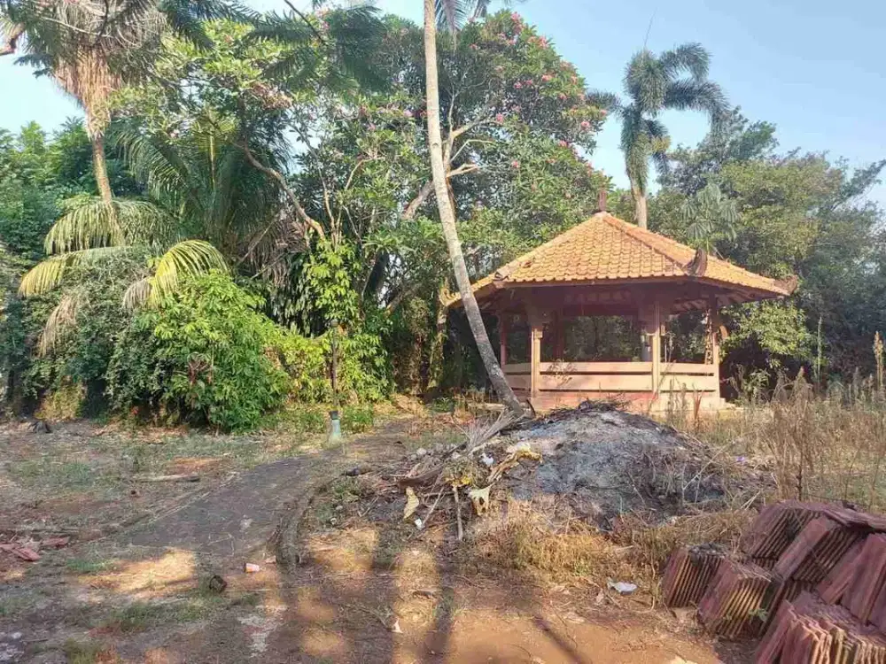 HARGA SANGAT MENARIK ! Tanah Luas 4.431 m² di Komplek Perumahan Cinere – Harga di Bawah NJOP