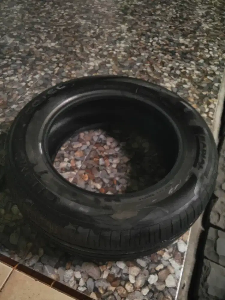 Ban GT radial 195/65/15