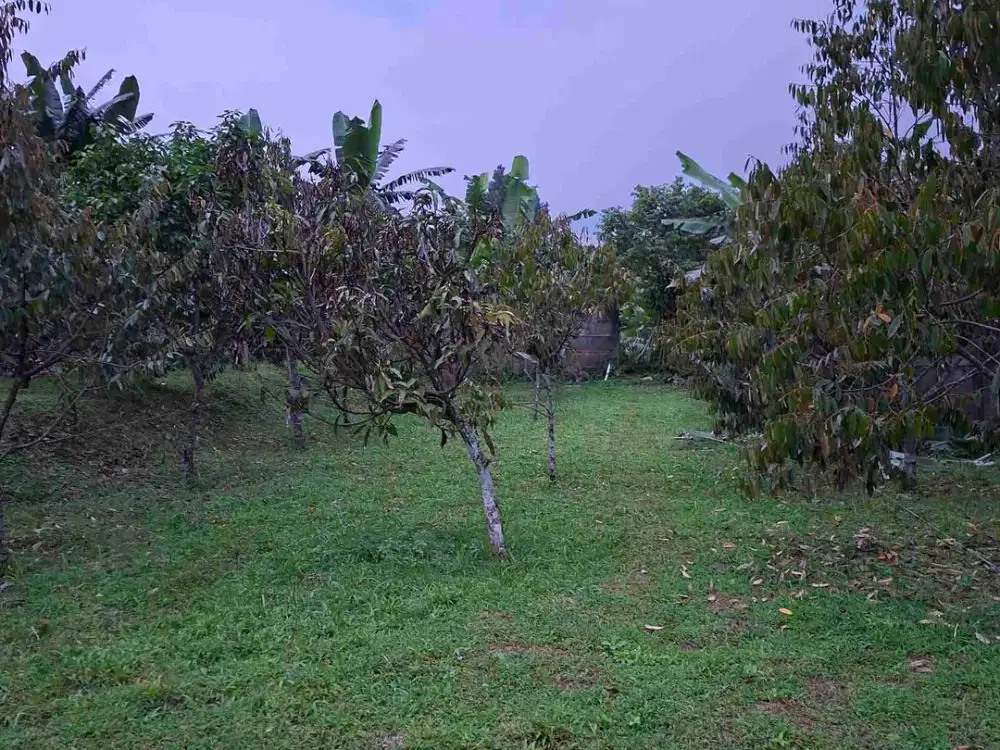 DI JUAL TANAH KAVLING DEKAT GOLF RANCAMAYA .HANYA 2  KM DARI EKIT TOL BOCIMI CI AWI.