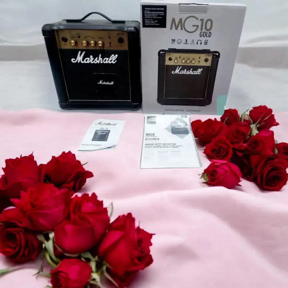 Marshall MG10 Gold dan MVave IR Box