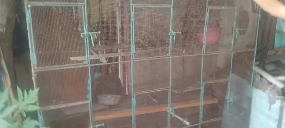 Kandang ternak burung murah aja