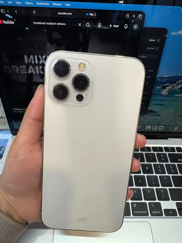 iPhone 12 Pro Max 256GB Silver Ex iBox BH 89% lengkap