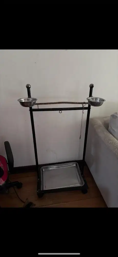 Tangkringan burung besar bisa nego