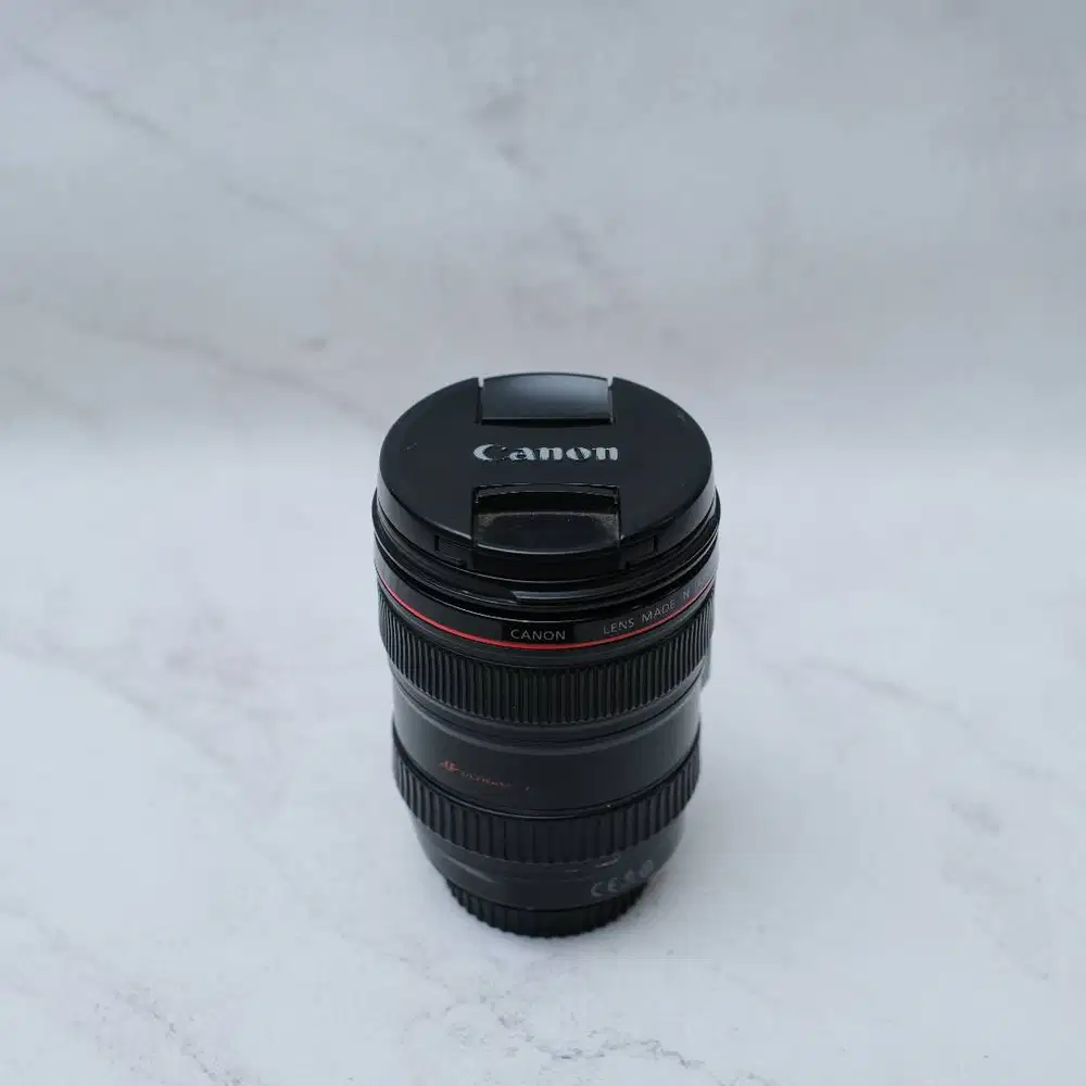 Canon 24-105 L IS Usm