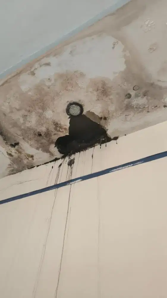 Tukang perbaikan atap bocor,dag,talang,kanopi,renopasi dll