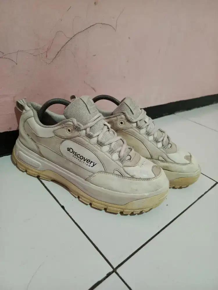 Discovery Expedition brick