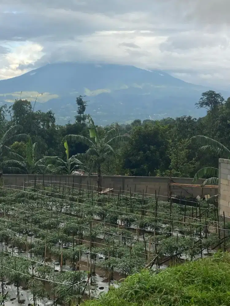 Di jual Tanah pribadi SHM a/n