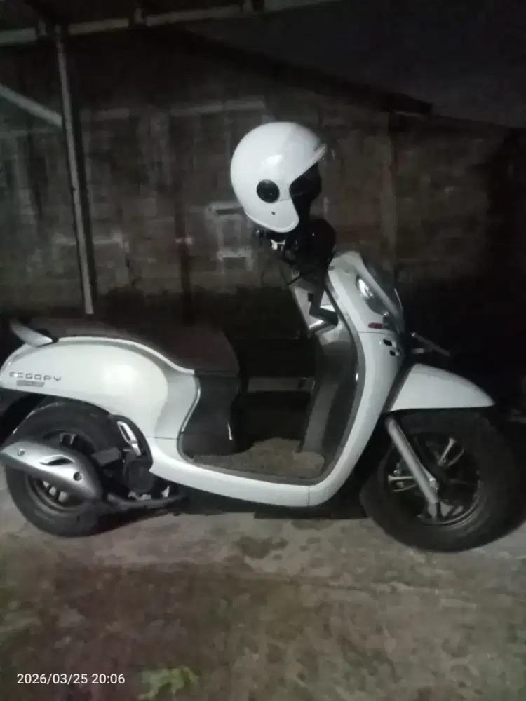 Scoopy Prestige 2024