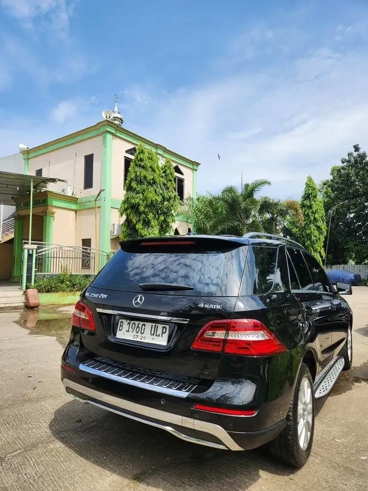 Mercedes-Benz ML250 2014 Diesel