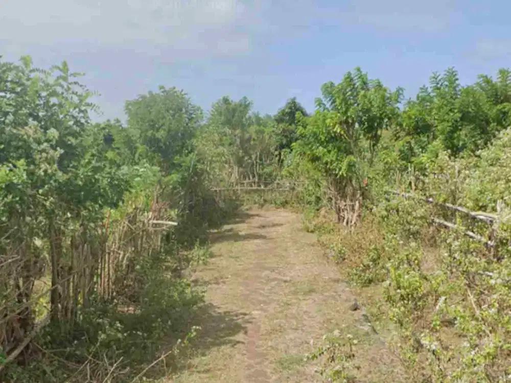 dijual tanah 10 are IDR 400 juta per are dekat STP Nusa dua Kuta Selatan Badung Bali