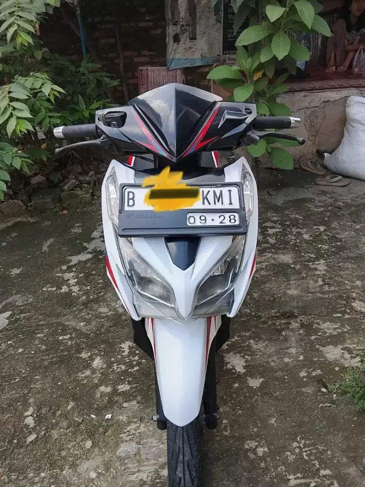 Vario kzr,pajek idup,b Bekasi