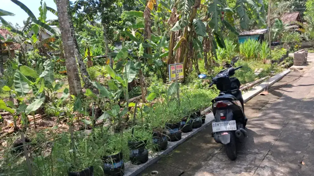 Jual tanah pekarangan